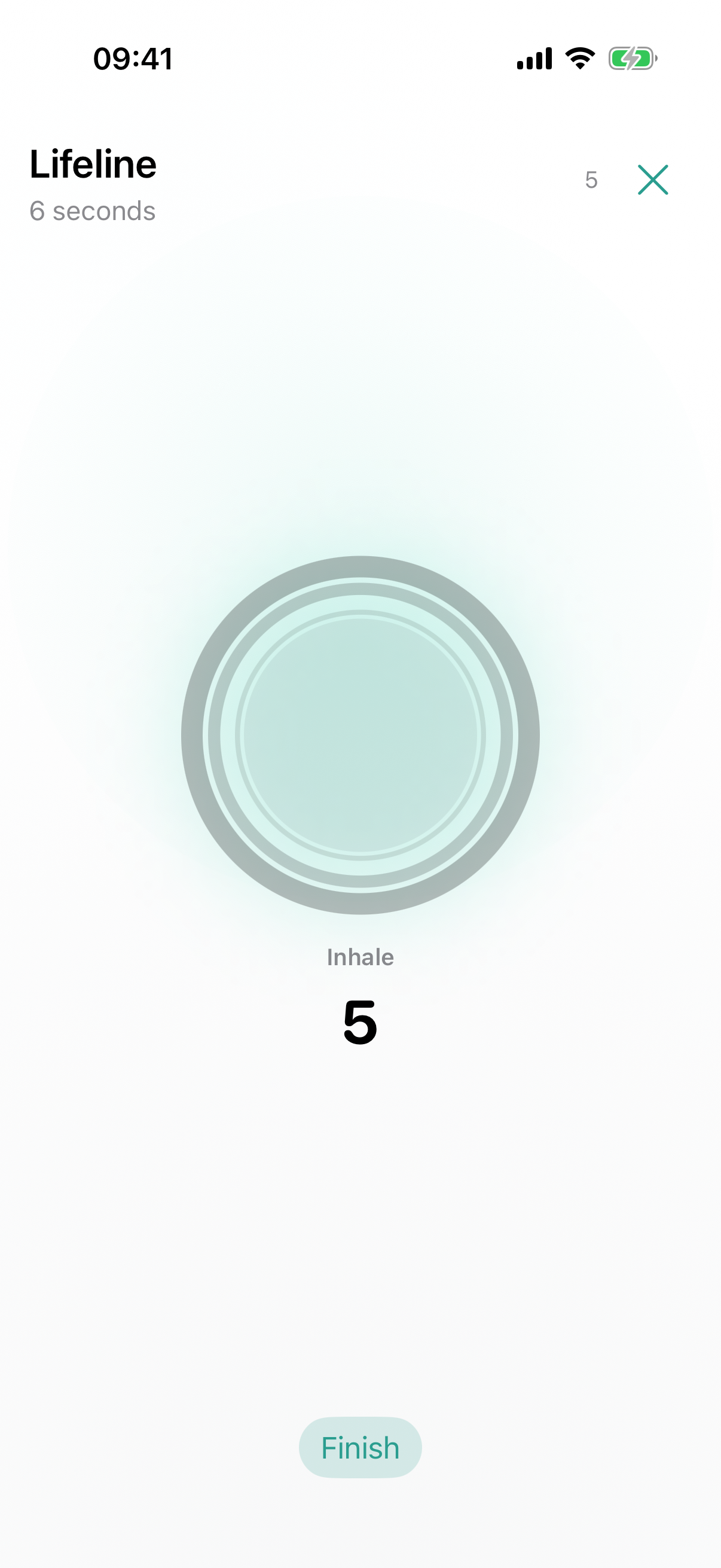 Lifeline session with breathing rings